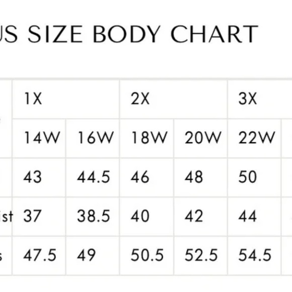 NWT Xscape gray, short sleeve.chiffon long formal. Mother of the bride. 14W  16W - Picture 6 of 10